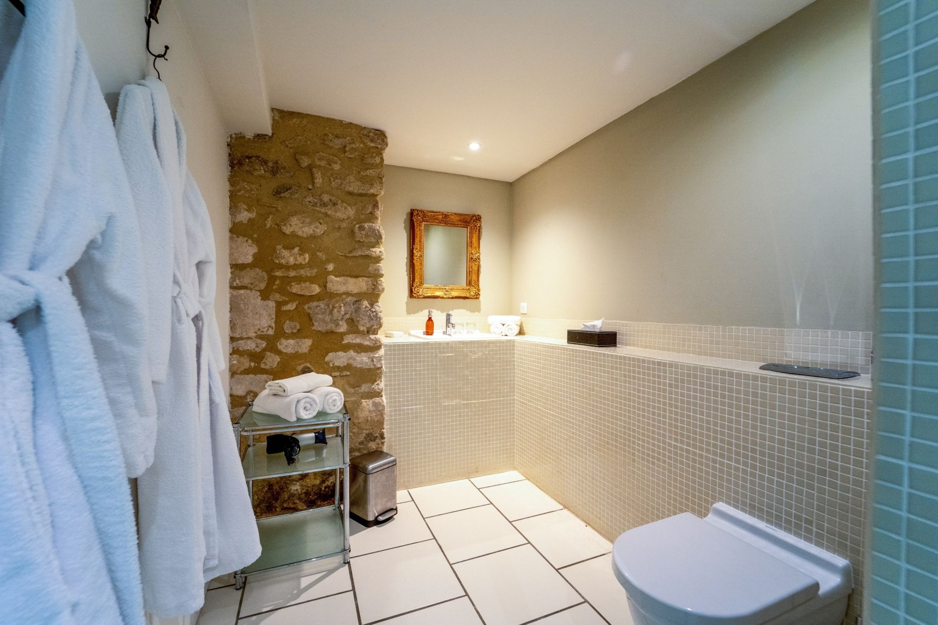 maison de luxe 15 Pièces en vente sur MALAUCENE (84340)