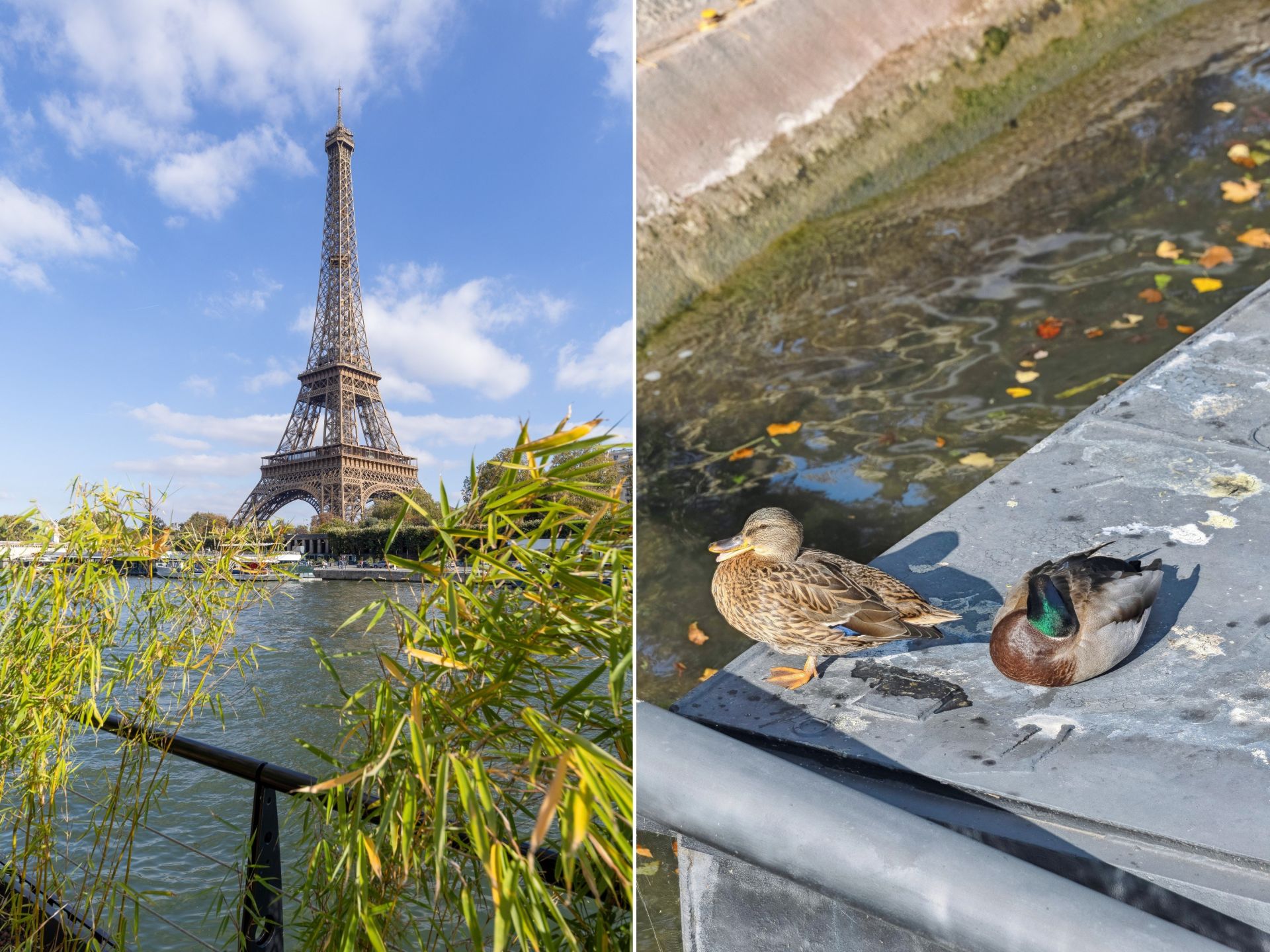 péniche de luxe 5 Pièces en vente sur PARIS (75016)
