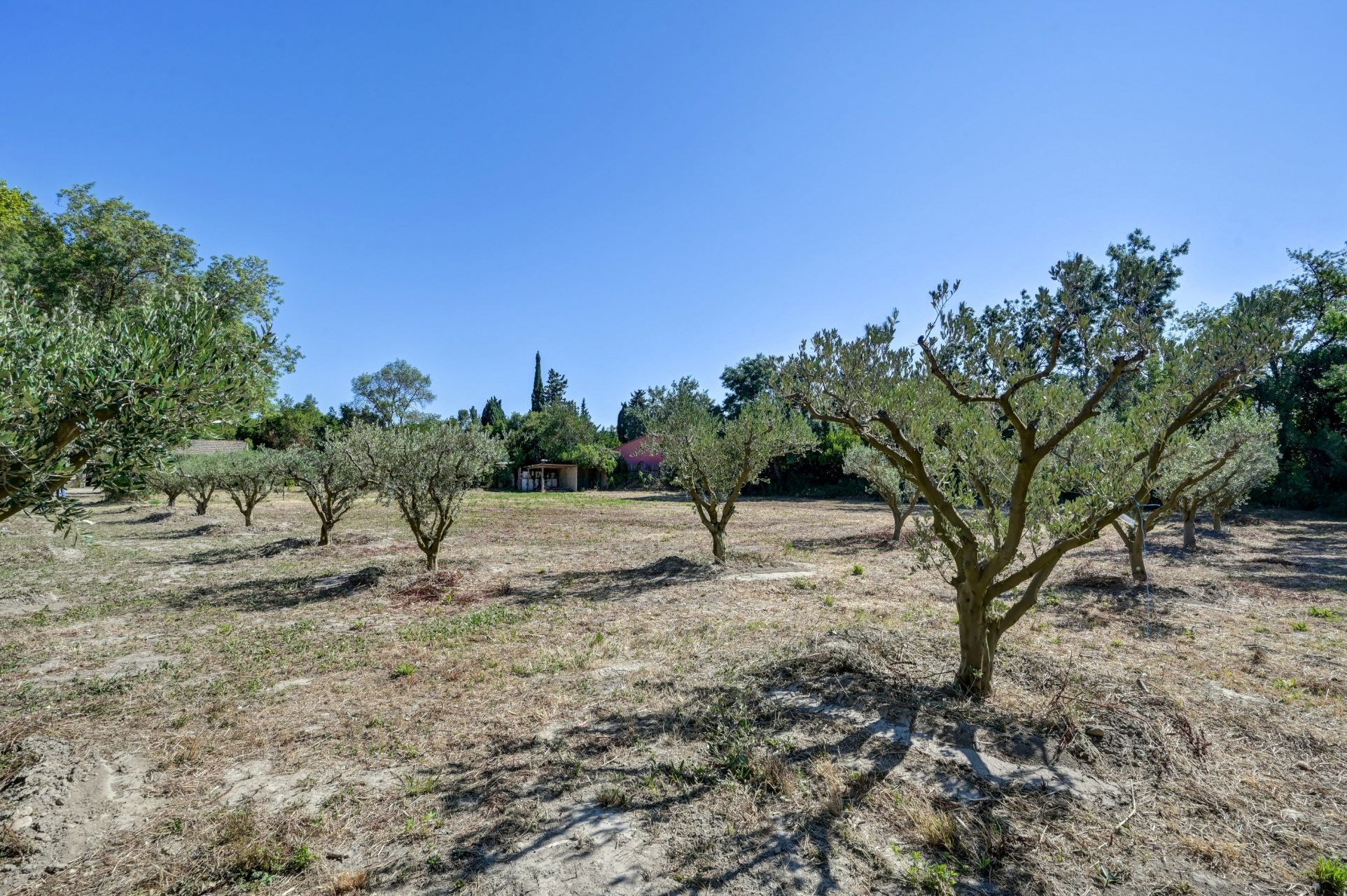 mas 2 Pièces en vente sur ST REMY DE PROVENCE (13210)