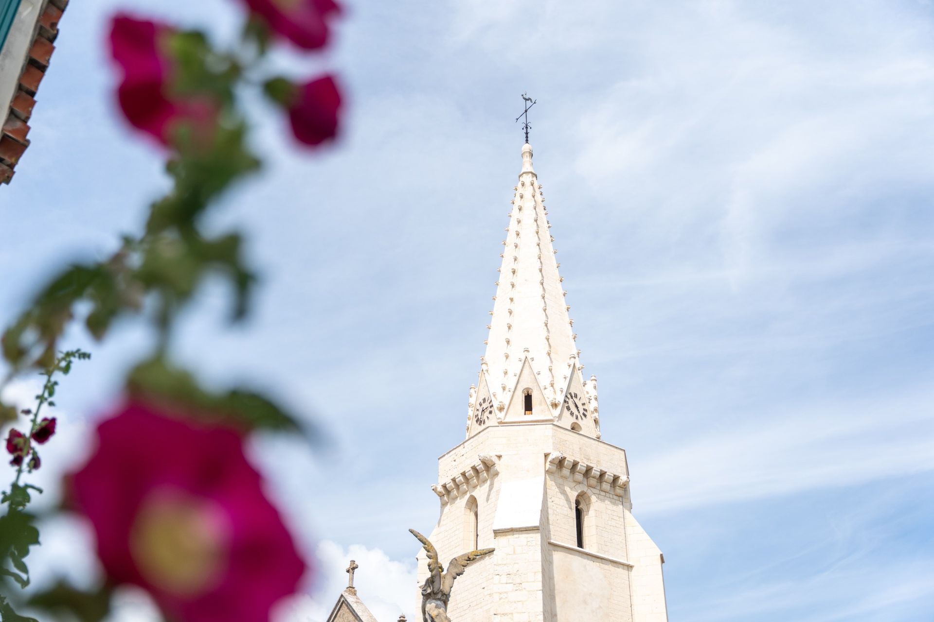 luxury house 9 Rooms for sale on STE MARIE DE RE (17740)