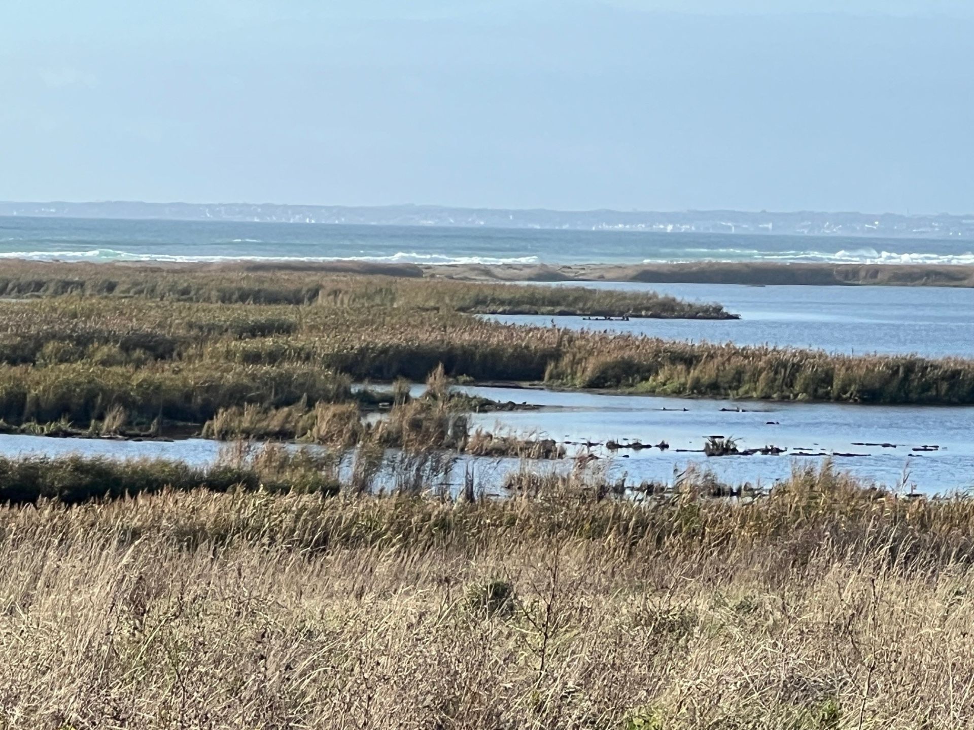 maison de luxe 8 Pièces en vente sur TREOGAT (29720)