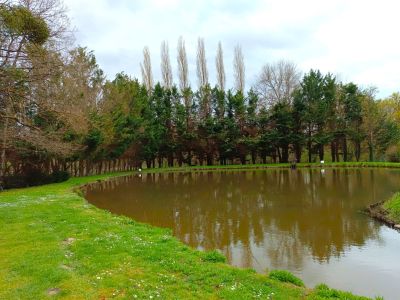 Sale Luxury house La Ferté-Saint-Cyr 10 Rooms 343 m²