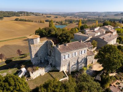 Sale Castle Larroque-Engalin 12 Rooms 410 m²