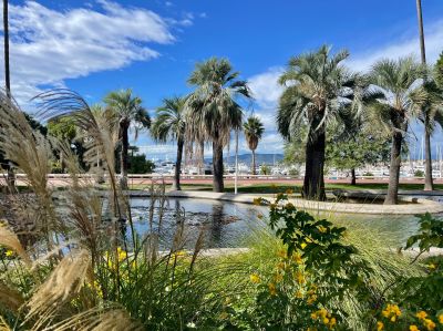 Sale Luxury apartment Cannes 1 room 46 m²