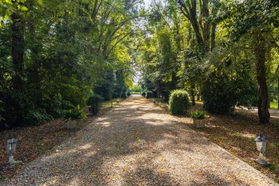 Sale Castle Bordeaux 10 Rooms 700 m²