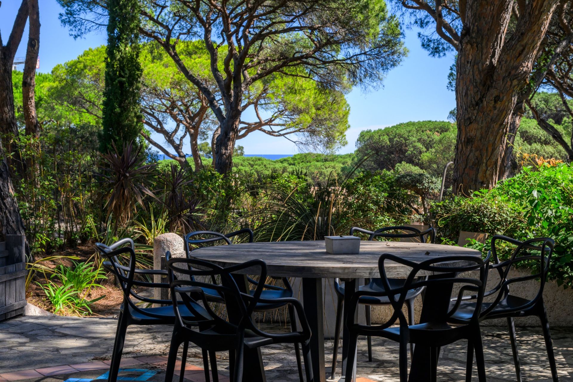 mazet de luxe 4 Pièces en vente sur RAMATUELLE (83350)