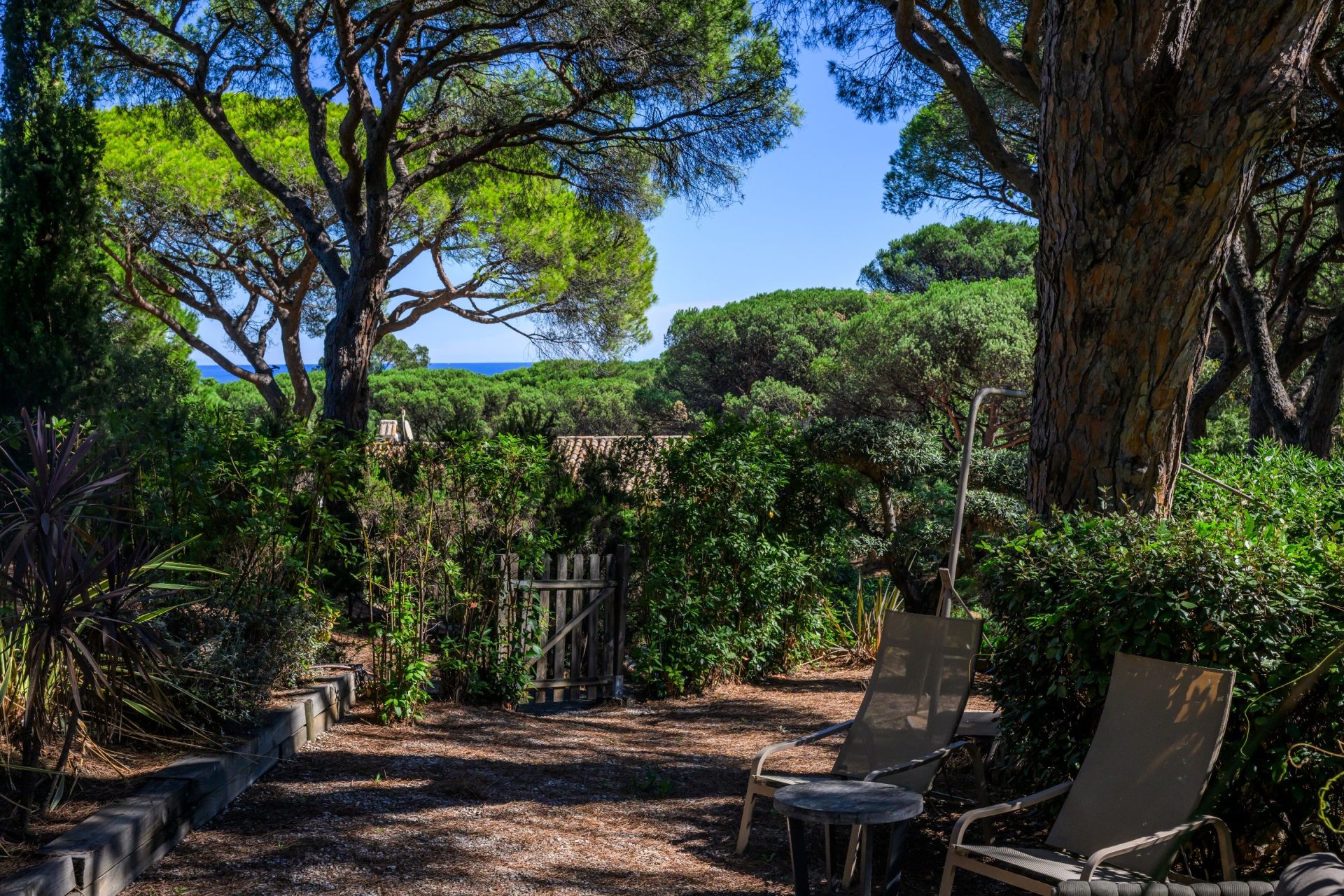 mazet de luxe 4 Pièces en vente sur RAMATUELLE (83350)