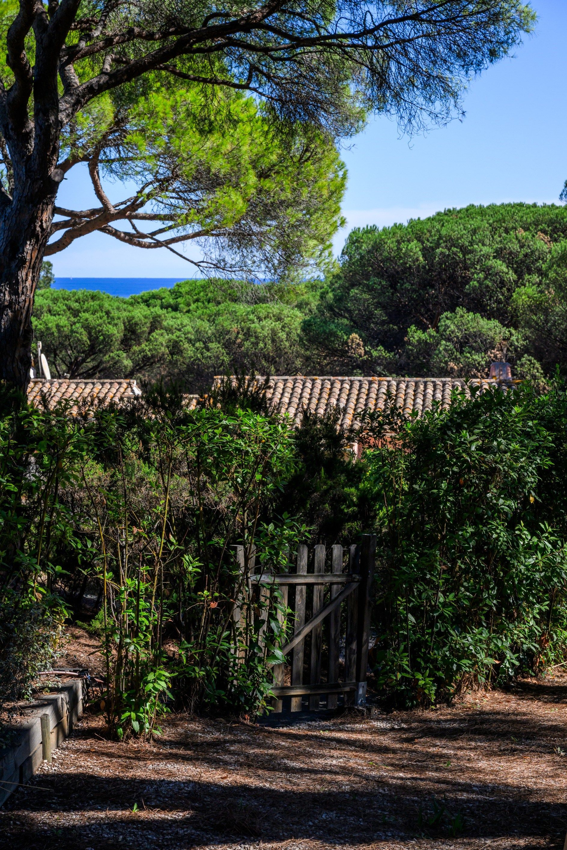 mazet de luxe 4 Pièces en vente sur RAMATUELLE (83350)