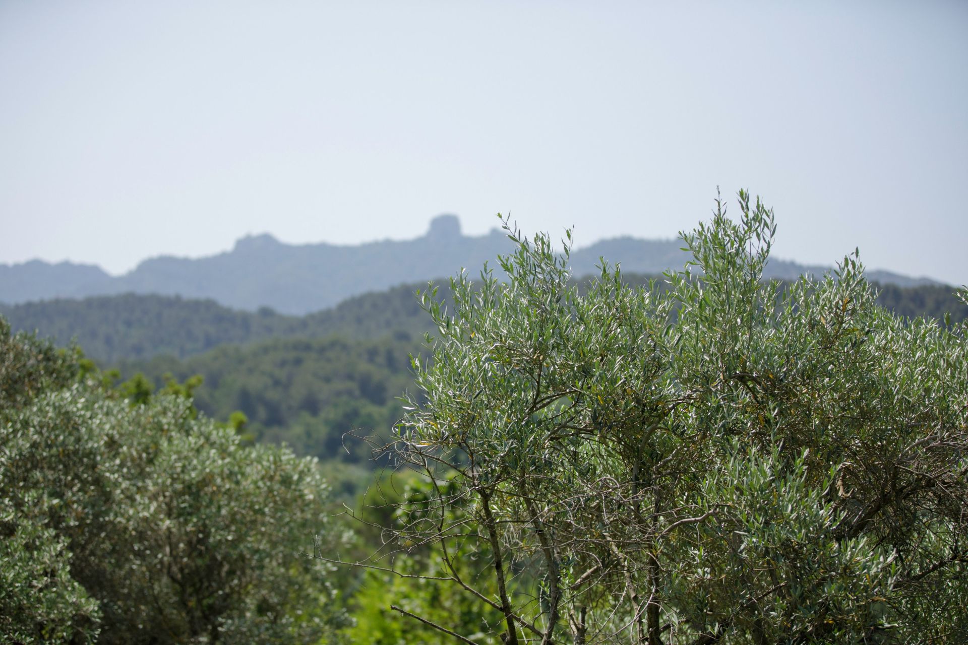 luxury house 7 Rooms for sale on AIX EN PROVENCE (13100)