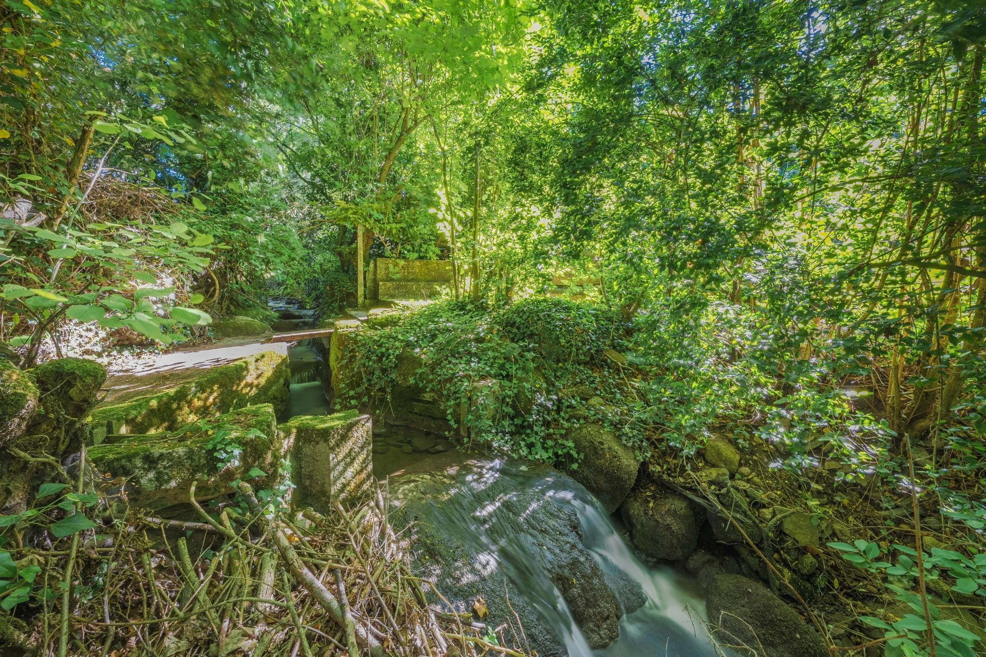 maison de luxe 5 Pièces en vente sur DIVONNE LES BAINS (01220)