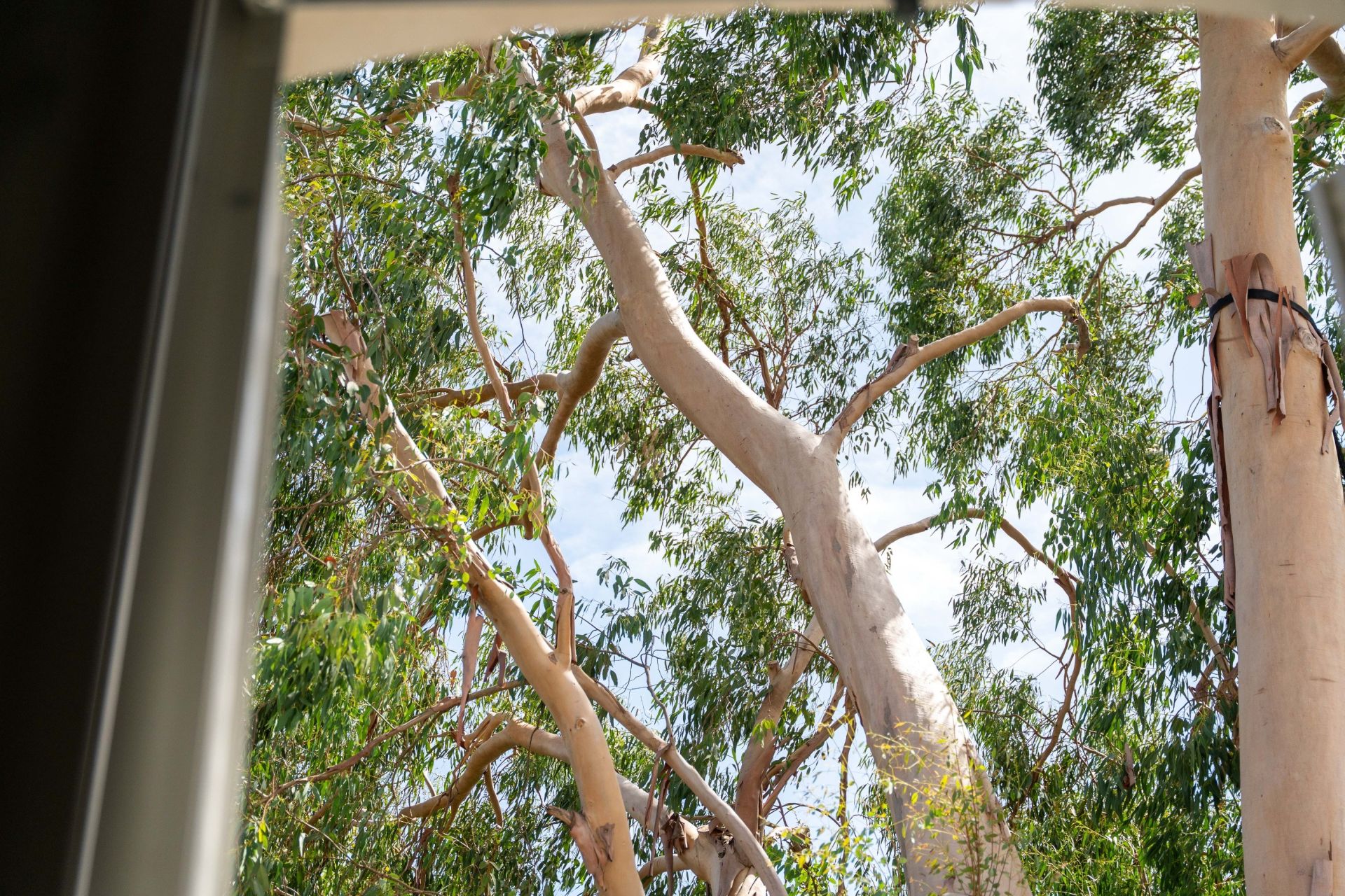 maison bourgeoise 7 Pièces en vente sur LA ROCHELLE (17000)