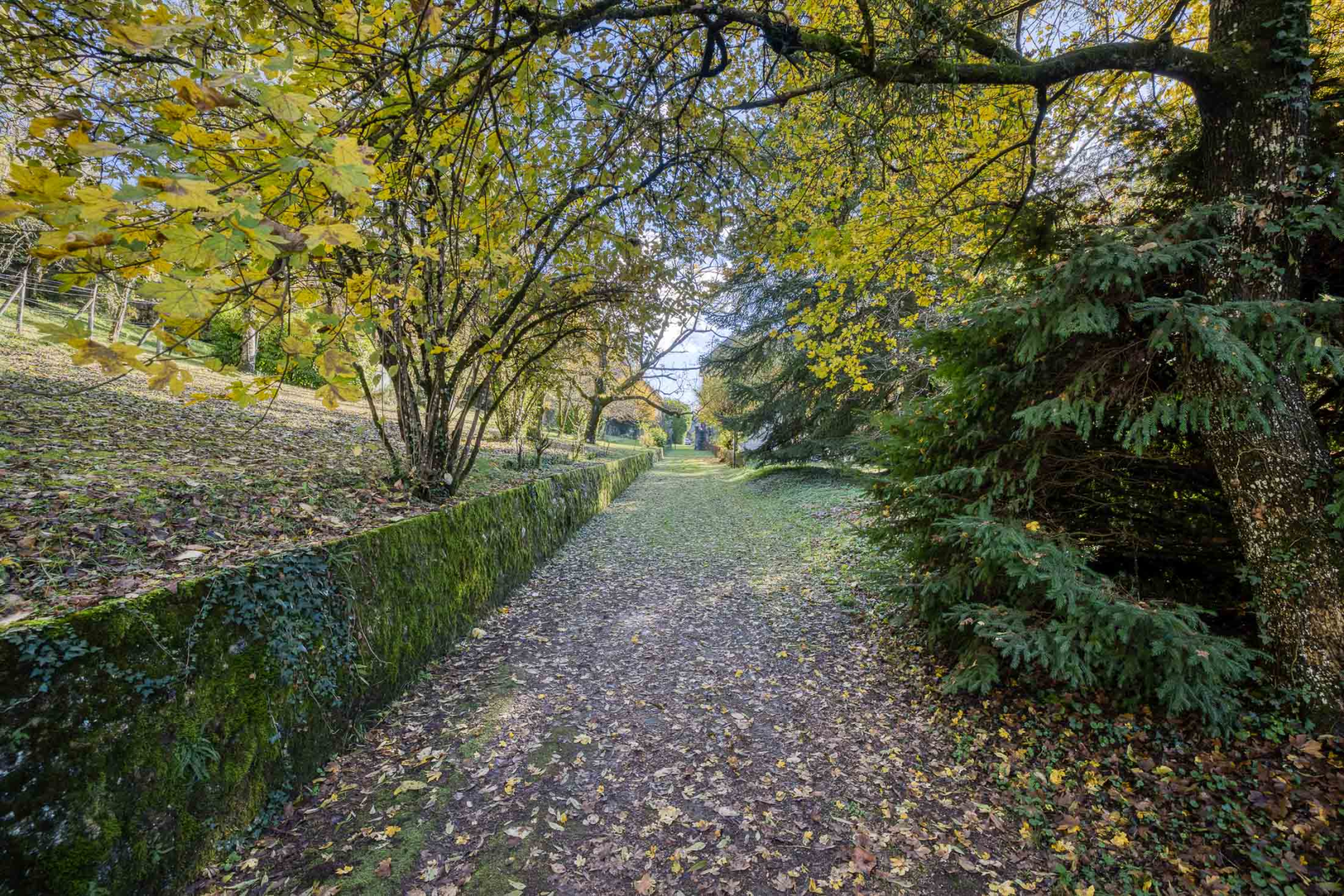 château 18 Pièces en vente sur SERRIERES EN CHAUTAGNE (73310)