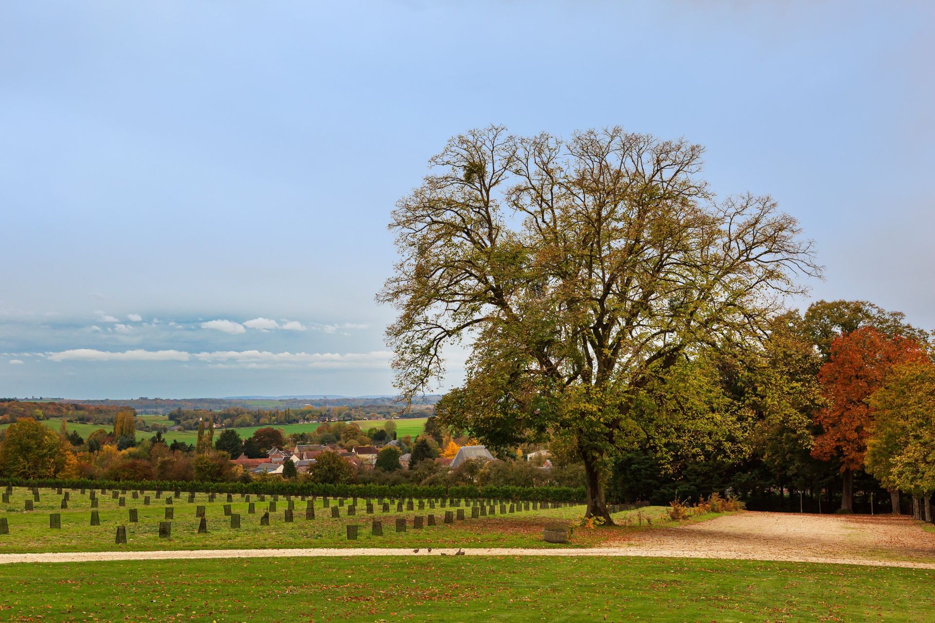 propriété de chasse de luxe 20 Pièces en vente sur MONTCHEVREUIL (60240)