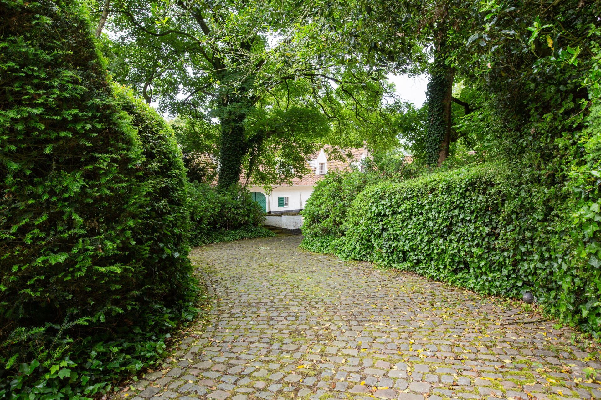 maison de luxe 8 Pièces en vente sur MOUVAUX (59420)