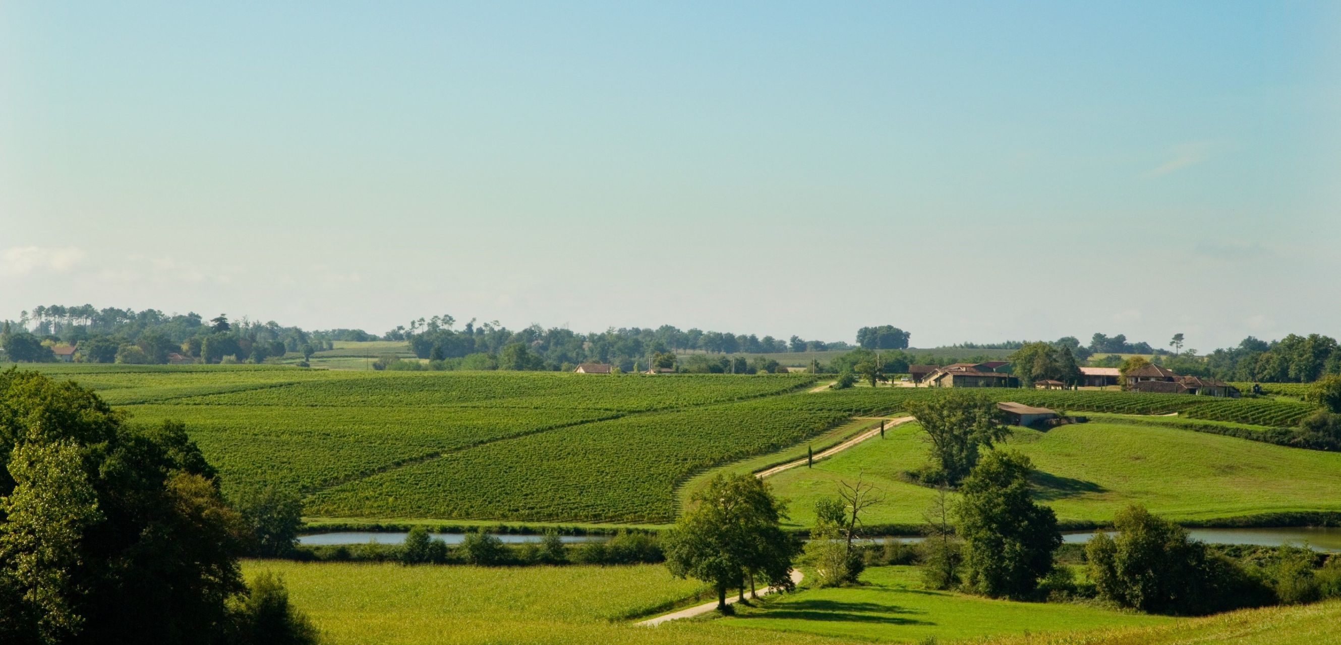 wine estate 15 Rooms for sale on MAULEON D ARMAGNAC (32240)