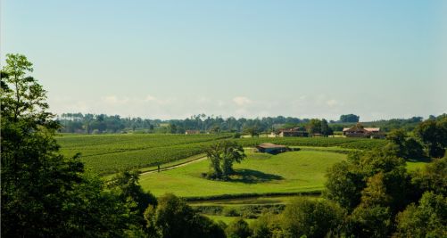 Sale Wine estate Mauléon-d'Armagnac 15 Rooms 427 m²