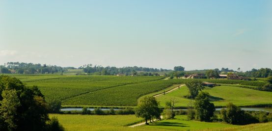 Sale Wine estate Mauléon-d'Armagnac 15 Rooms 427 m²