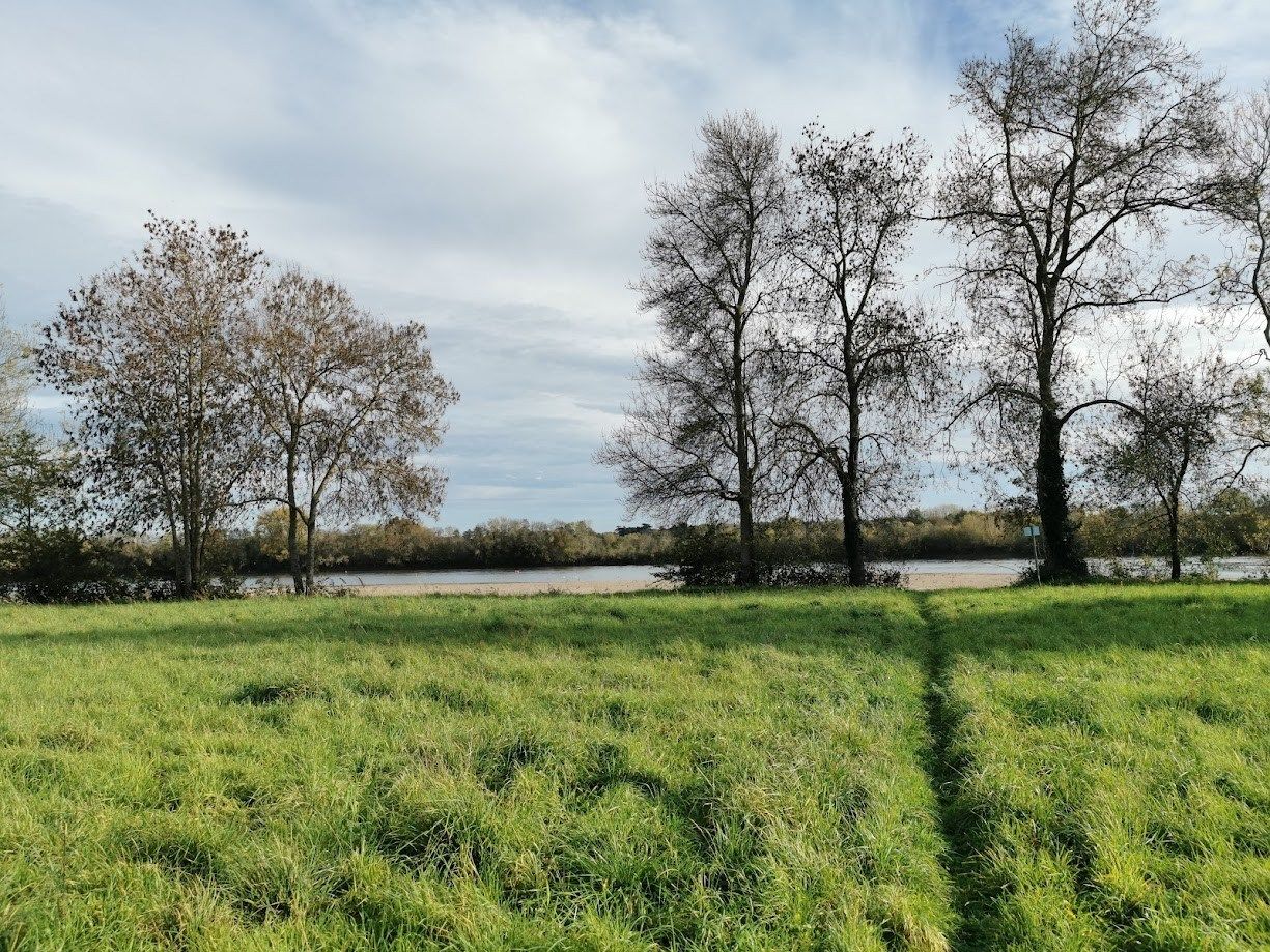 luxury house 10 Rooms for sale on ANGERS (49000)