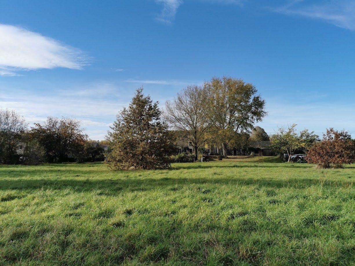 luxury house 10 Rooms for sale on ANGERS (49000)