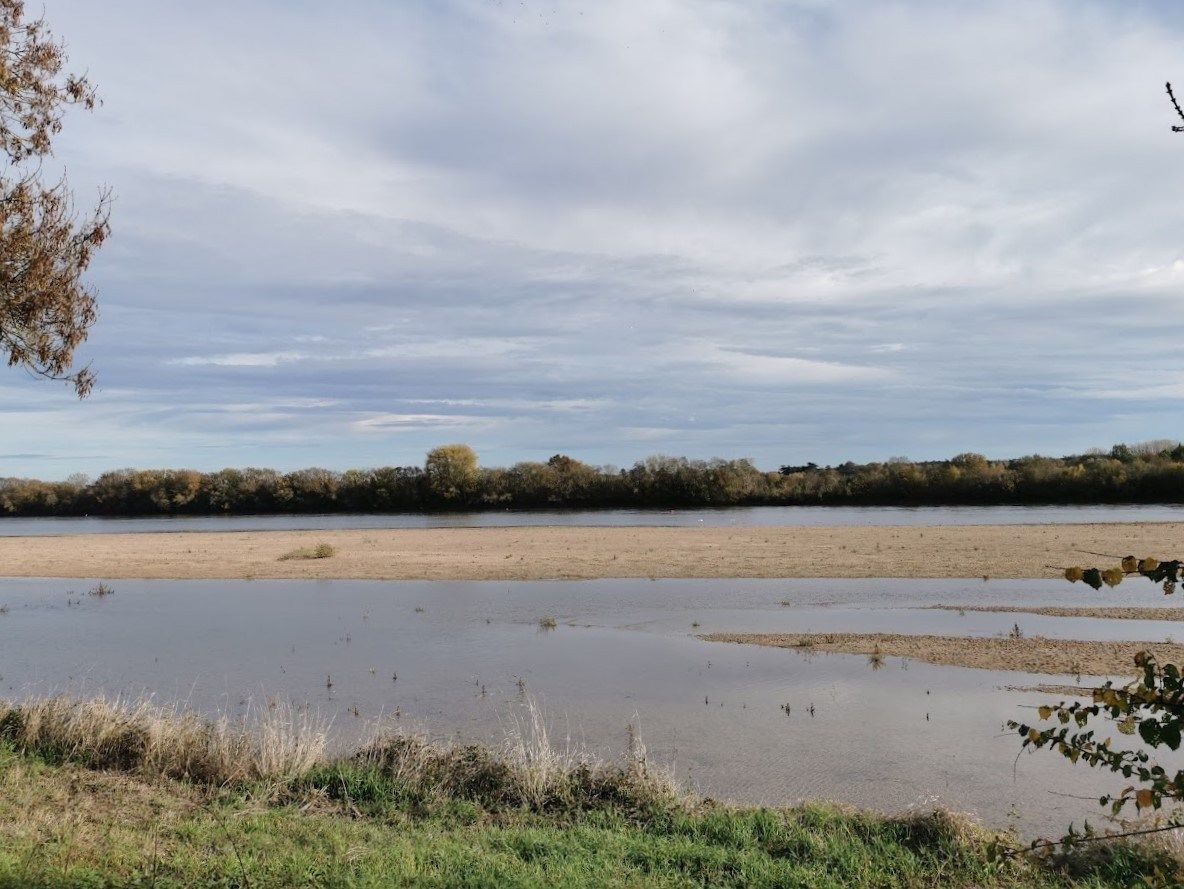 maison de luxe 10 Pièces en vente sur ANGERS (49000)