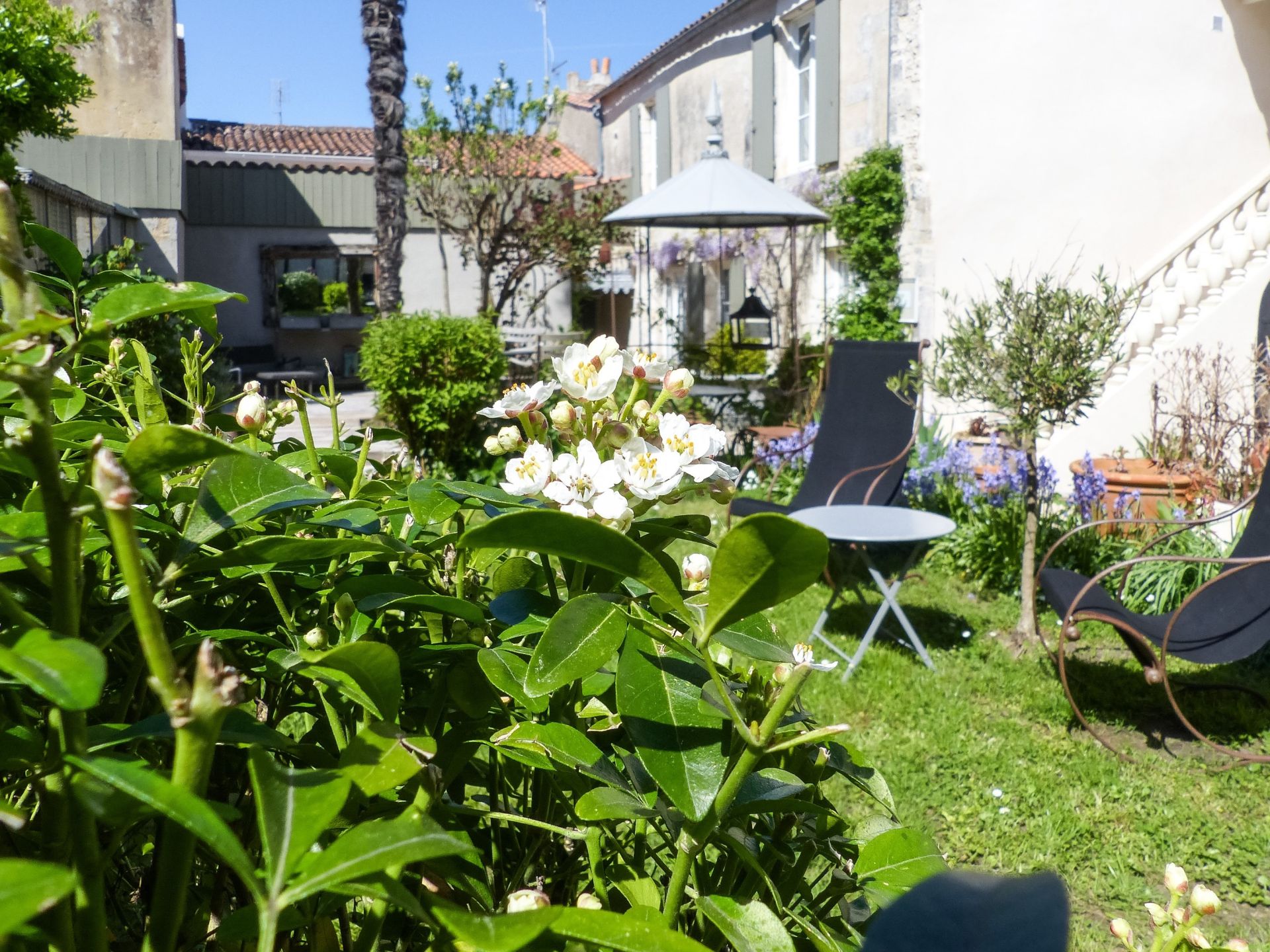 maison de maître 22 Pièces en vente sur ST MARTIN DE RE (17410)