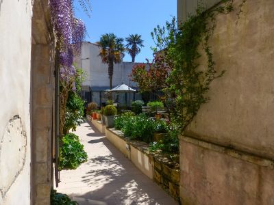 Vente Maison de maître Saint-Martin-de-Ré 22&nbsp;Pièces 554&nbsp;m²