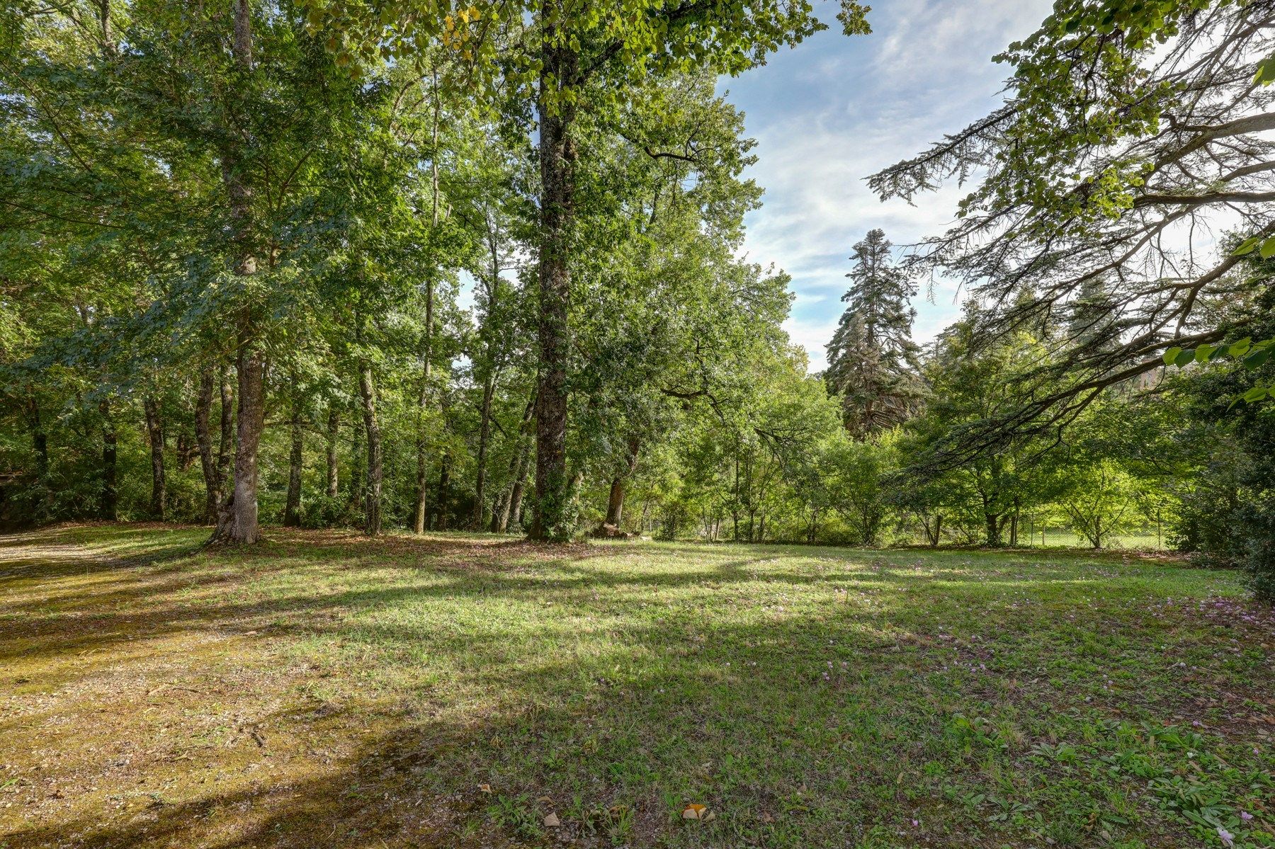 luxury house 14 Rooms for sale on VERFEIL (31590)