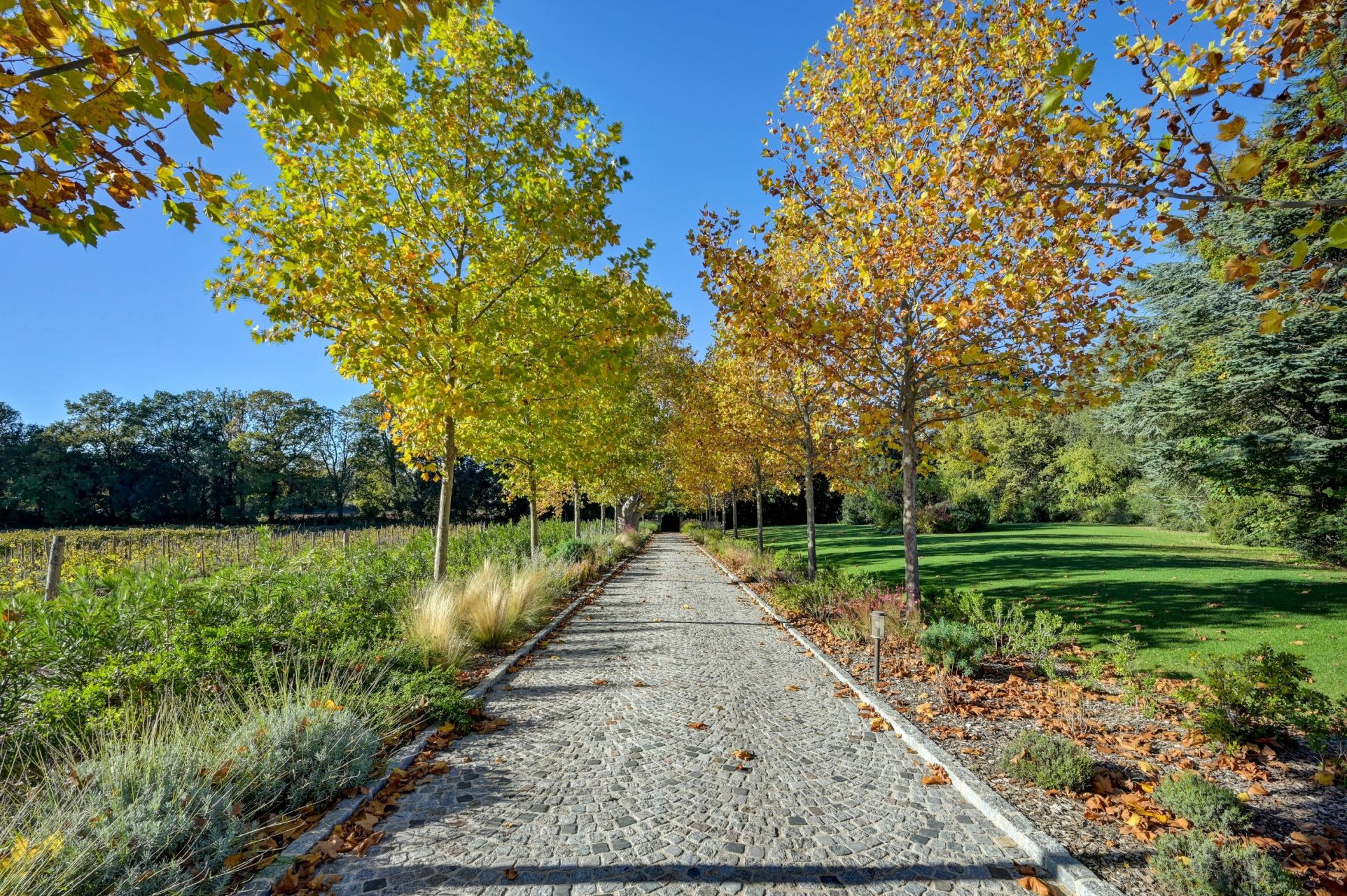 luxury house 12 Rooms for sale on AIX EN PROVENCE (13100)