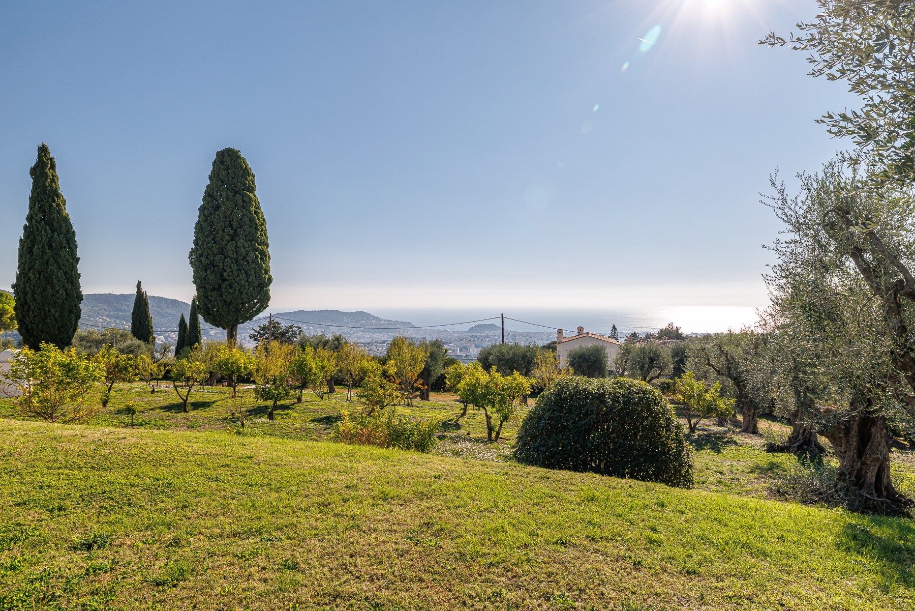 luxury apartment 6 Rooms for sale on NICE (06000)