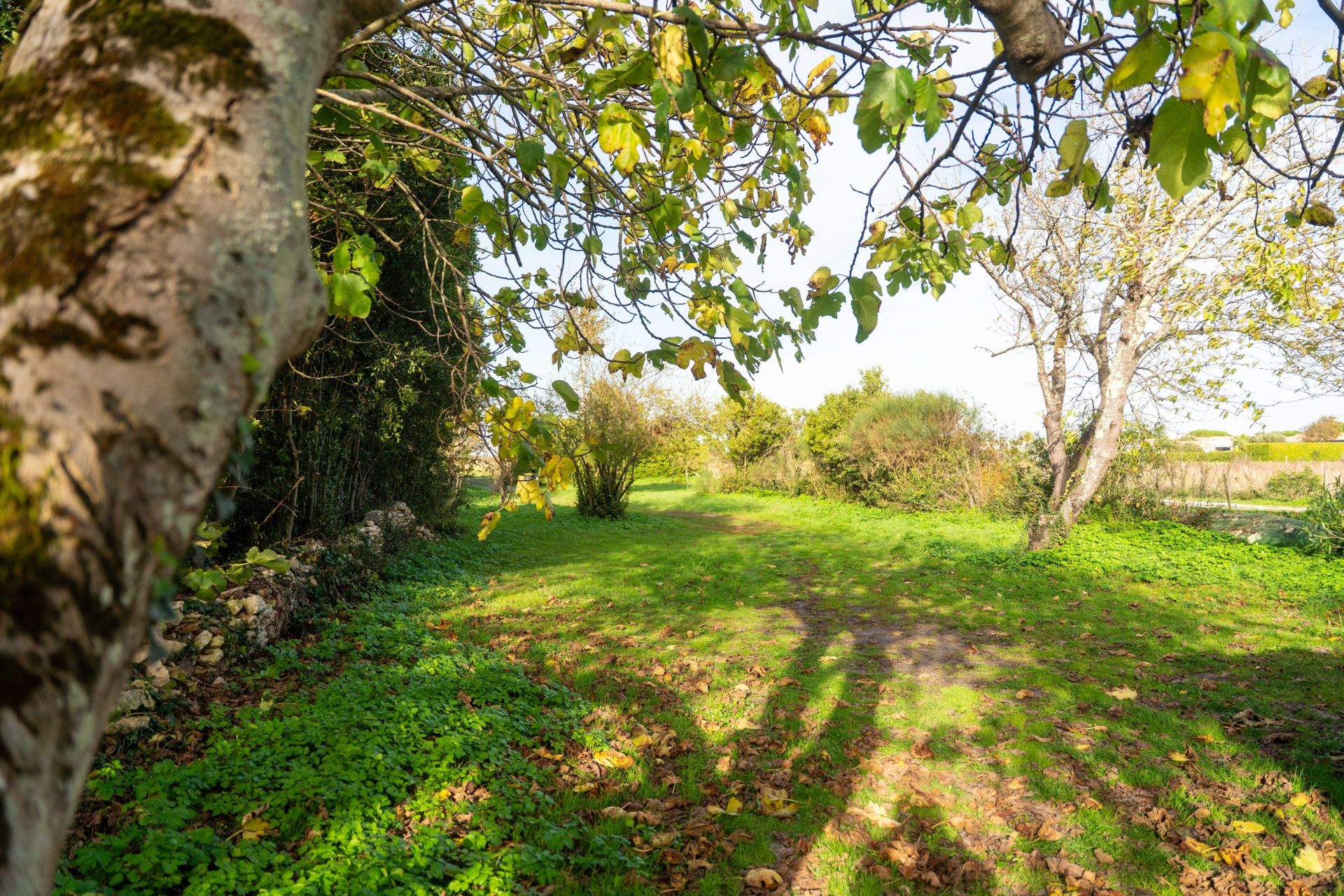 luxury house 7 Rooms for sale on LOIX (17111)