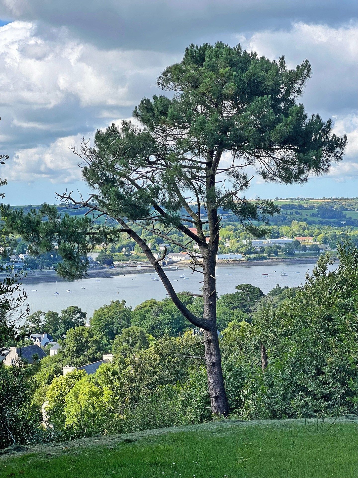 maison de luxe 10 Pièces en vente sur PLOUGASTEL DAOULAS (29470)