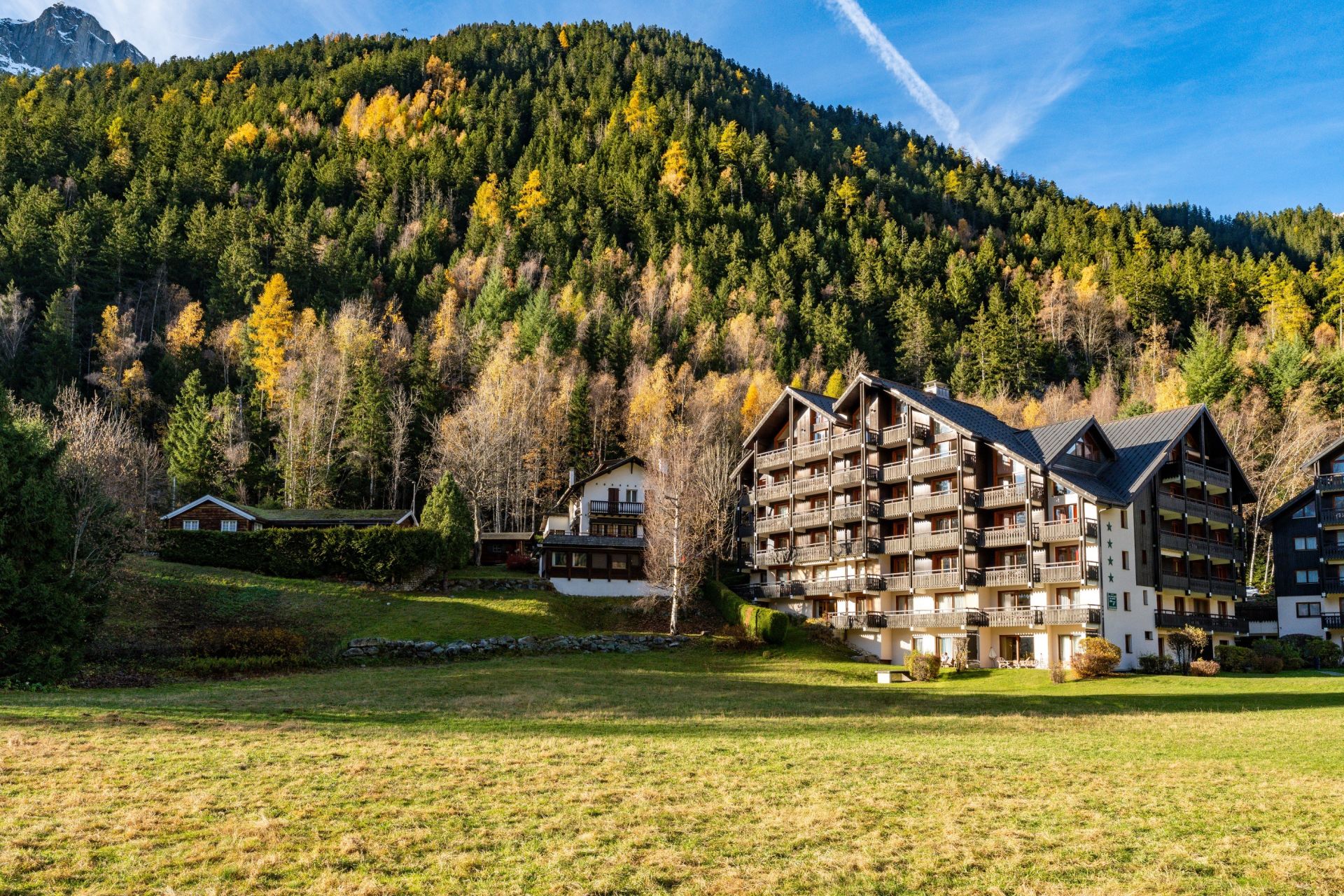 luxury apartment 2 Rooms for sale on CHAMONIX MONT BLANC (74400)