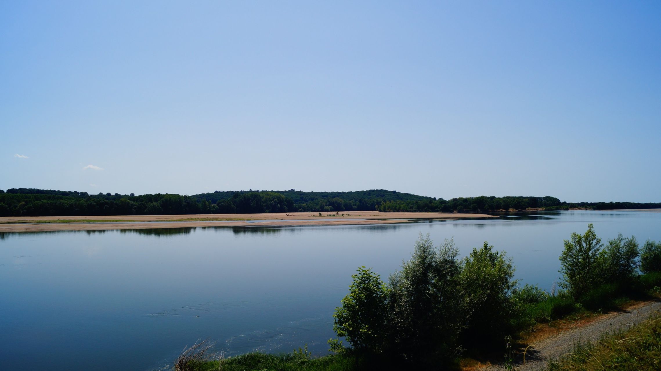 mansion 21 Rooms for sale on ANGERS (49000)