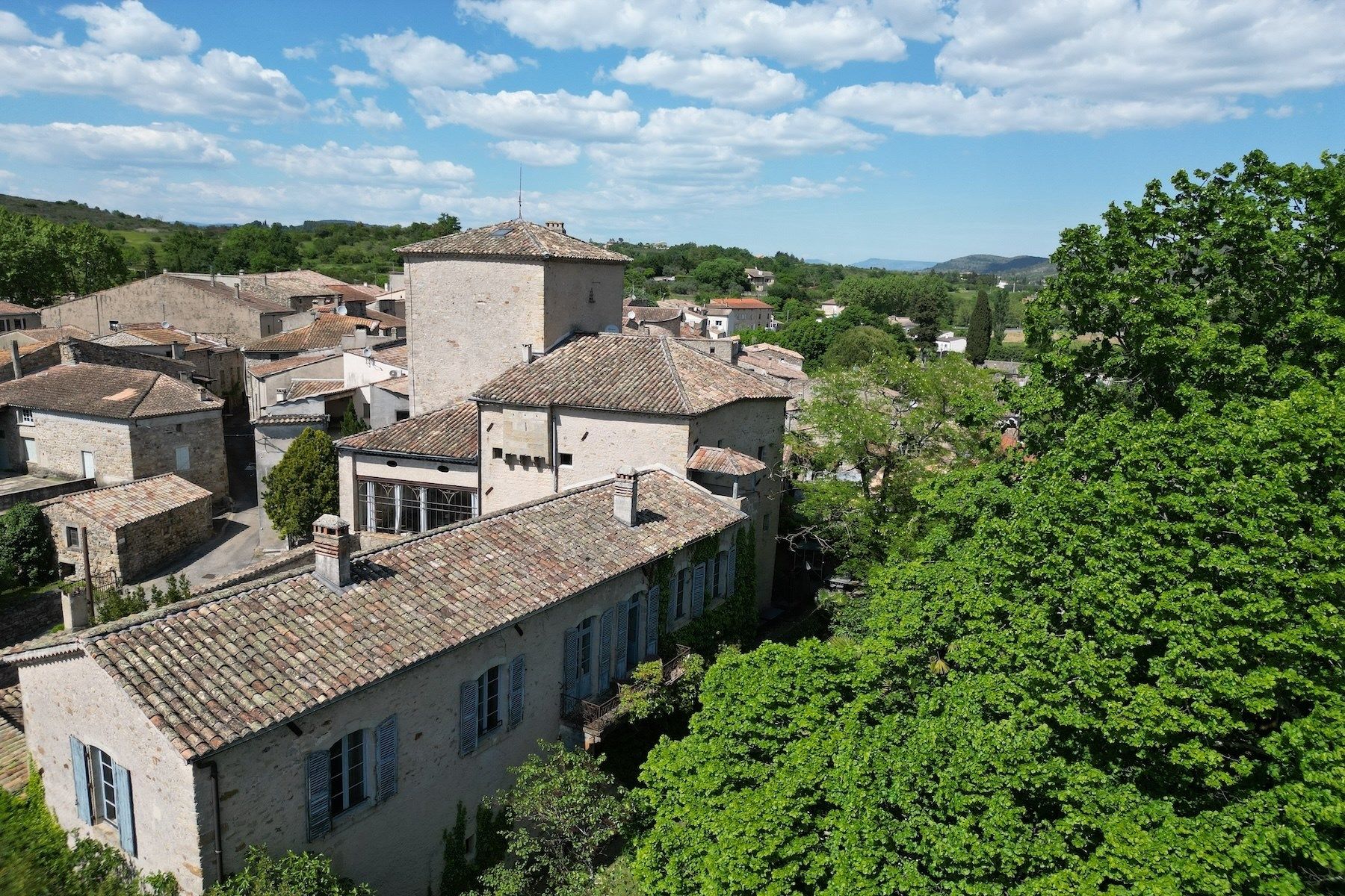 château 12 Pièces en vente sur BARJAC (30430)