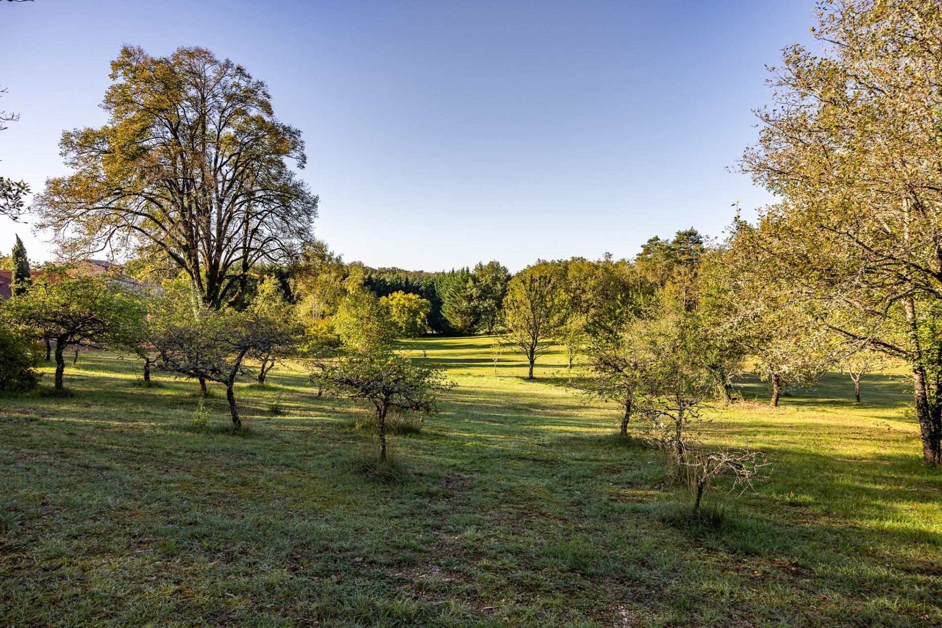 luxury house 6 Rooms for sale on SOUILLAC (46200)