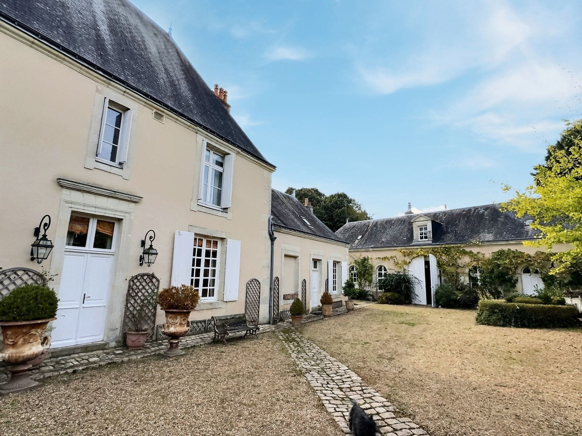 maison de luxe 11 Pièces en vente sur NEUVY LE ROI (37370)