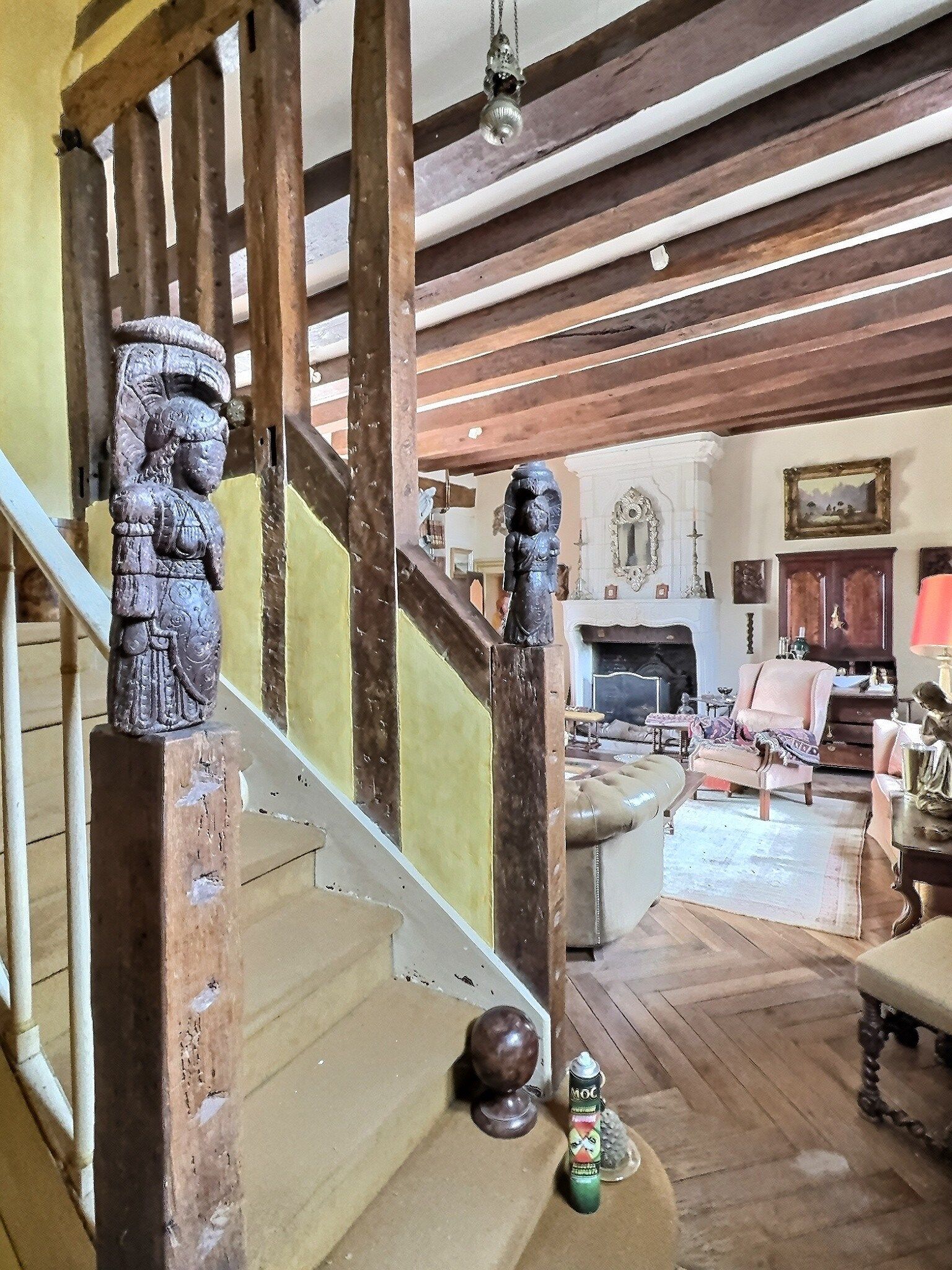 maison de luxe 11 Pièces en vente sur NEUVY LE ROI (37370)