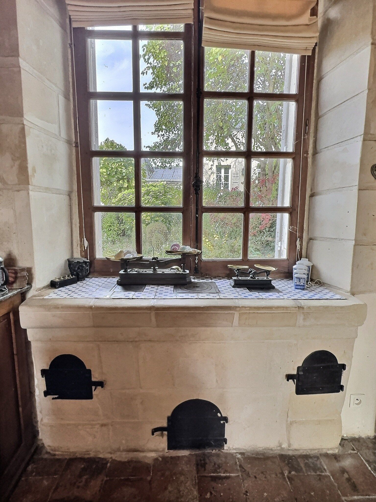 maison de luxe 11 Pièces en vente sur NEUVY LE ROI (37370)