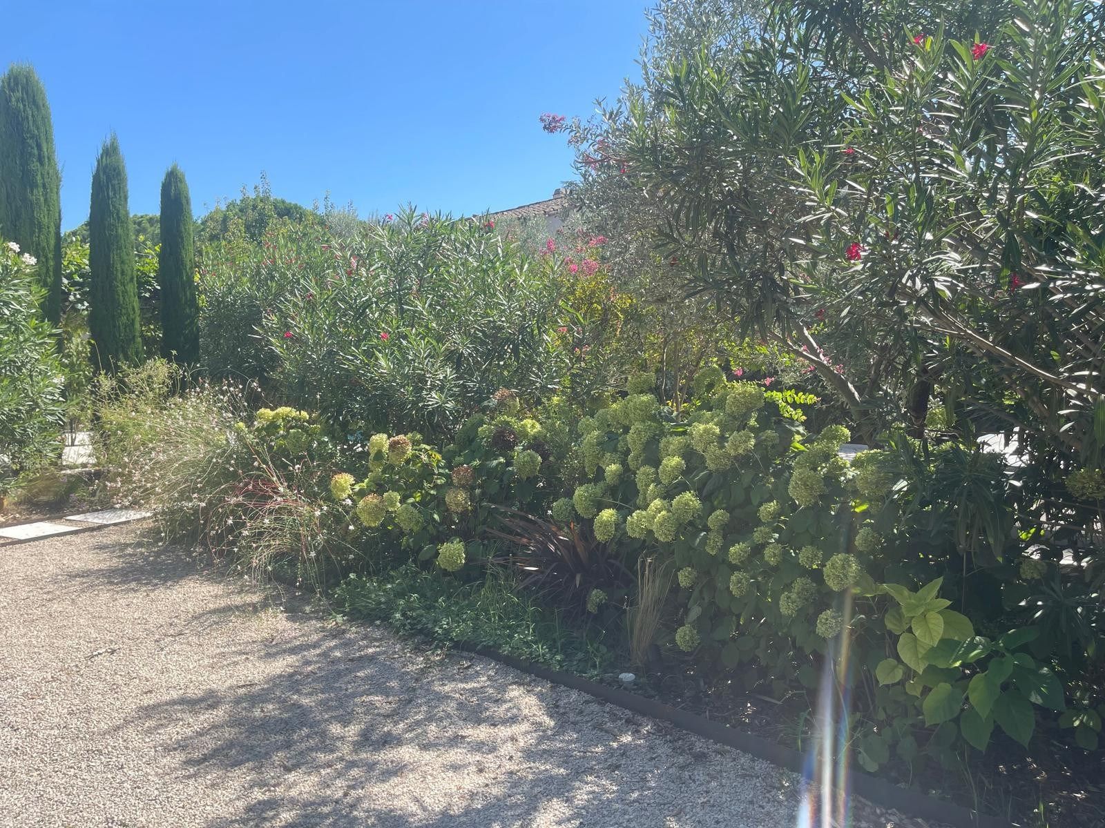 luxury house 5 Rooms for sale on ST REMY DE PROVENCE (13210)