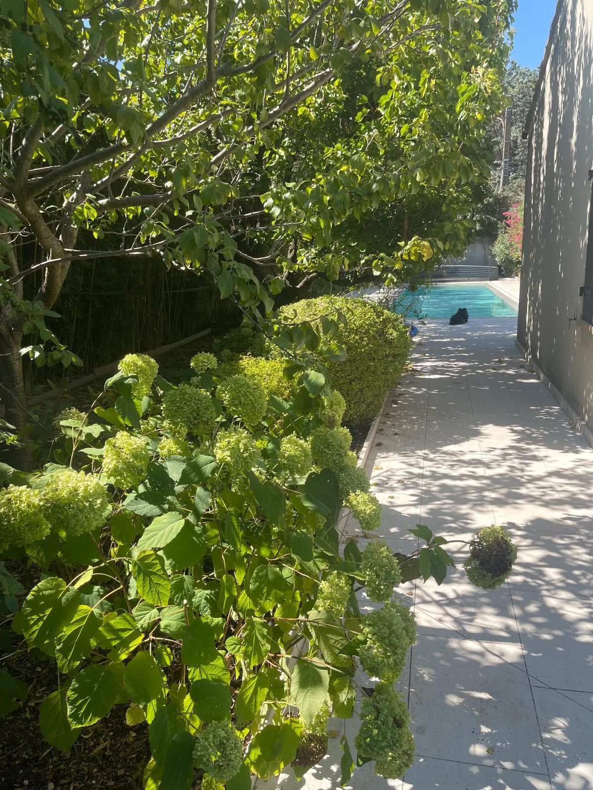 luxury house 5 Rooms for sale on ST REMY DE PROVENCE (13210)