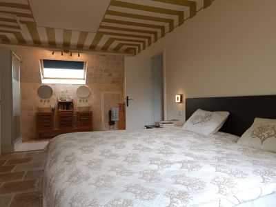 Vente Maison de luxe Chémery 9 Pièces 230 m²