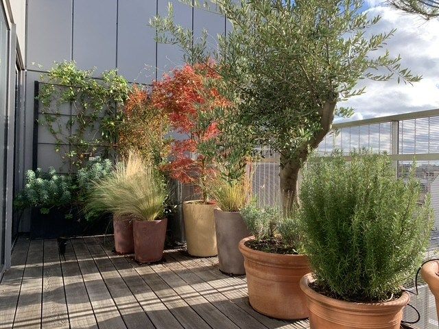 luxury apartment 4 Rooms for sale on PARIS (75014)