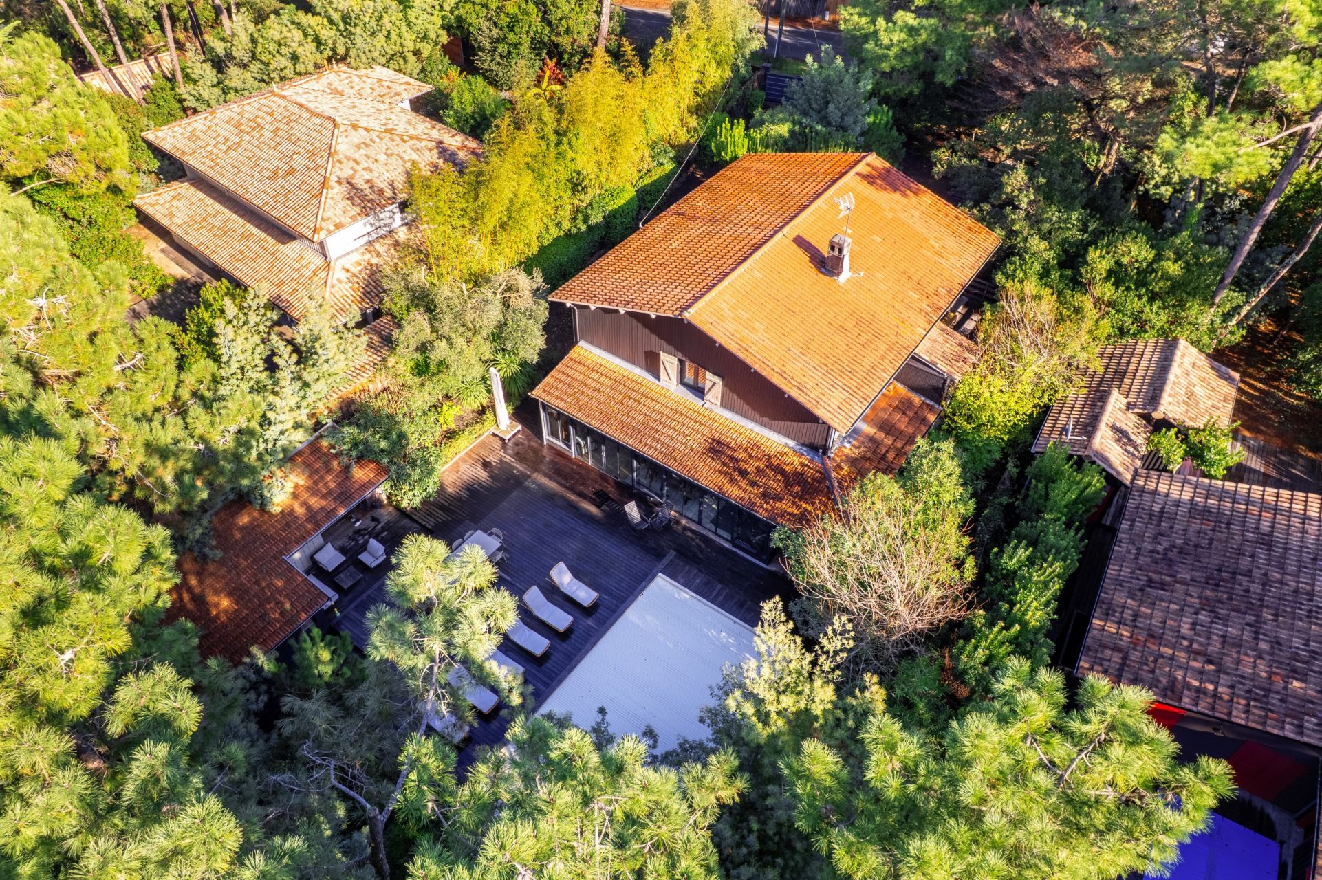 maison de luxe 12 Pièces en vente sur CAP FERRET (33970)