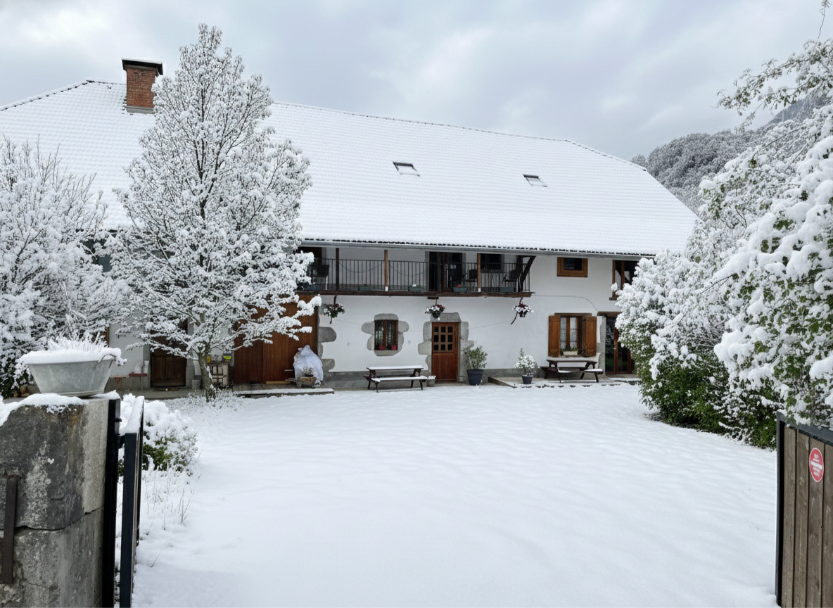 propriété de luxe 38 Pièces en vente sur TANINGES (74440)