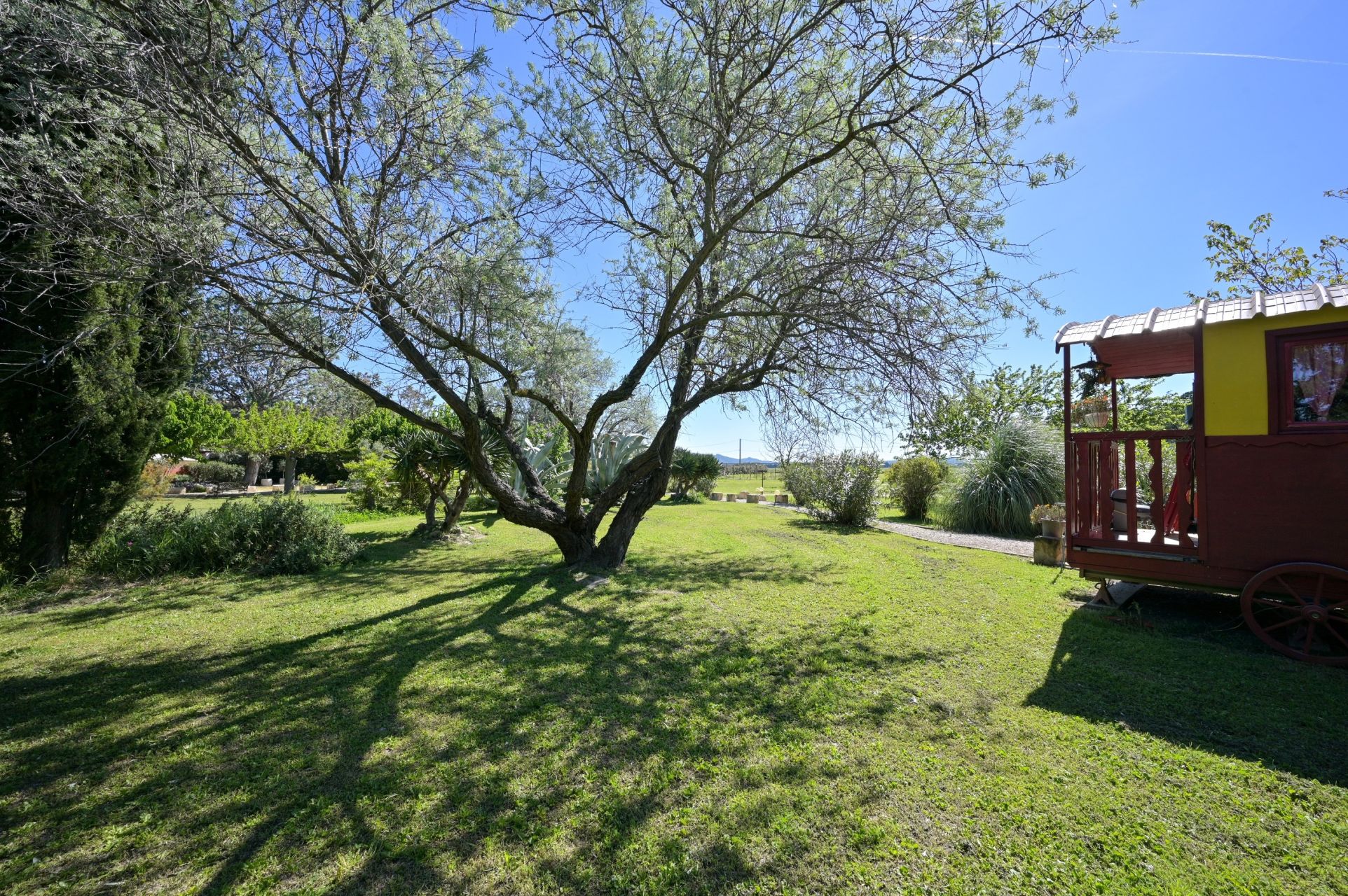luxury property 14 Rooms for sale on ARLES (13200)