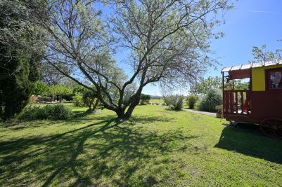 Sale Luxury property Arles 14 Rooms 350 m²