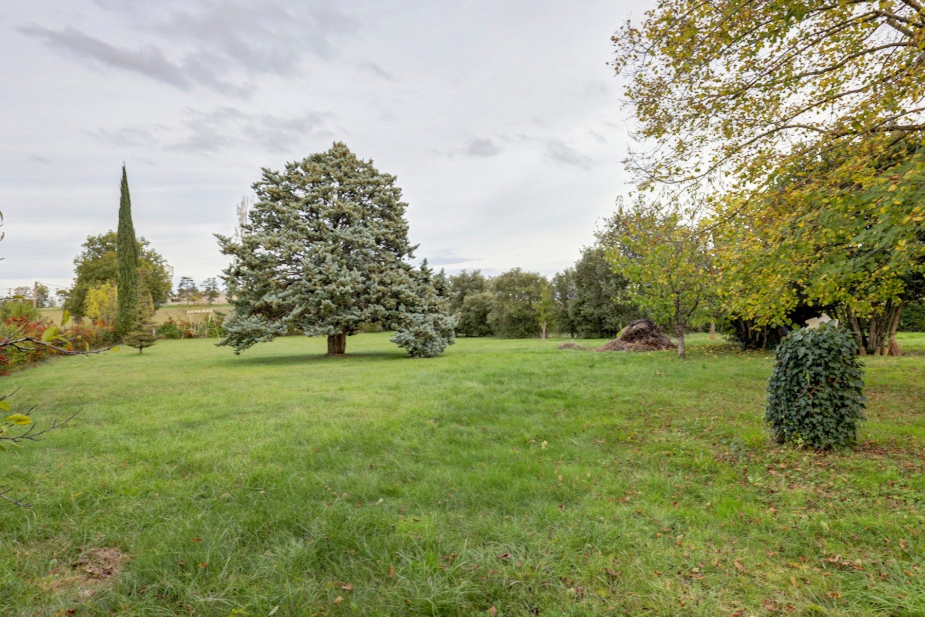 luxury house 7 Rooms for sale on CESTAYROLS (81150)