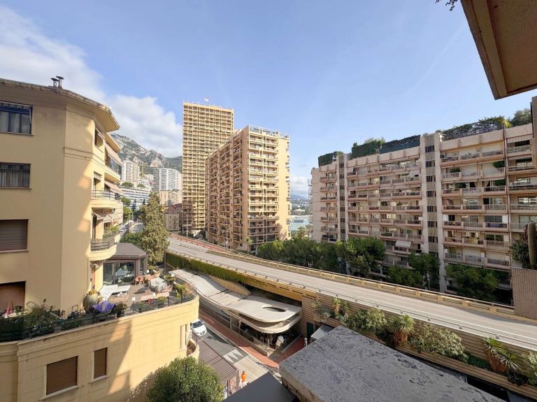 appartement de luxe 2 Pièces en location sur MONACO (98000)