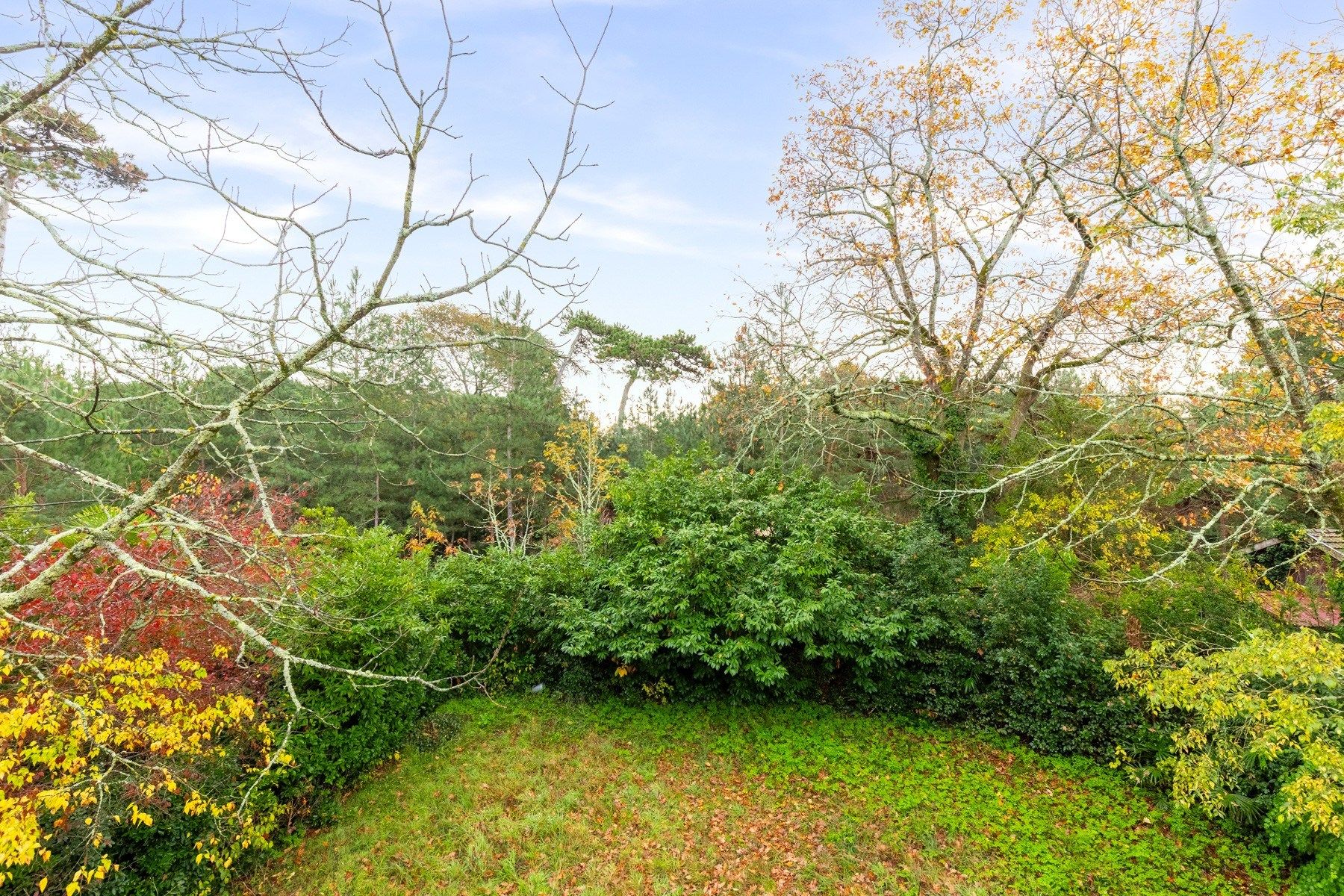 luxury house 10 Rooms for sale on BORDEAUX (33000)