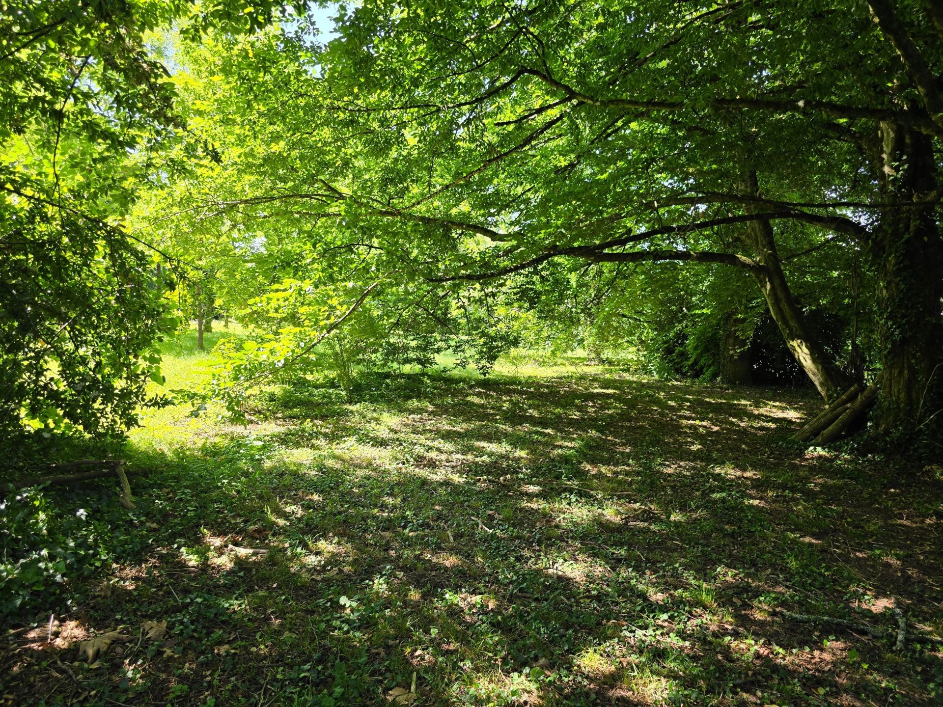 luxury house 10 Rooms for sale on NONTRON (24300)